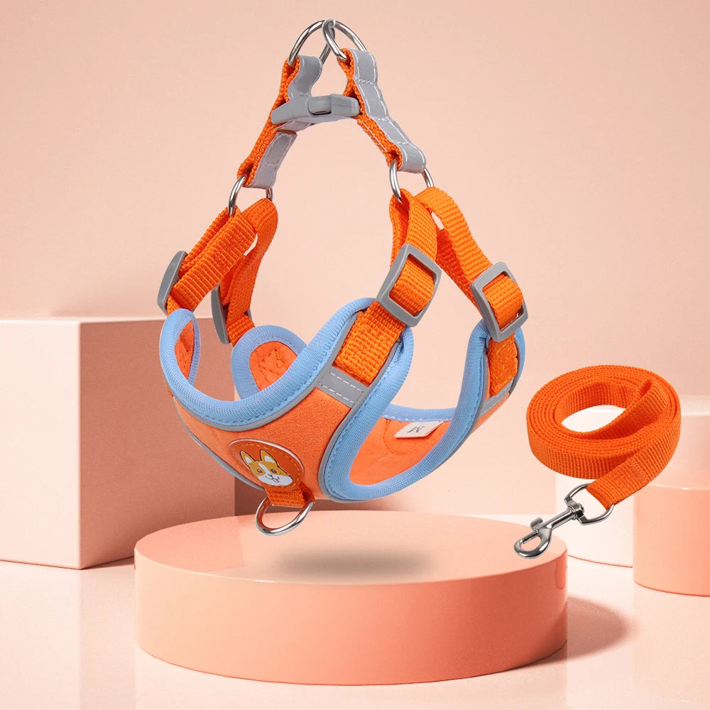 658b9f6fc1c6b784630ef9dca1375f8a